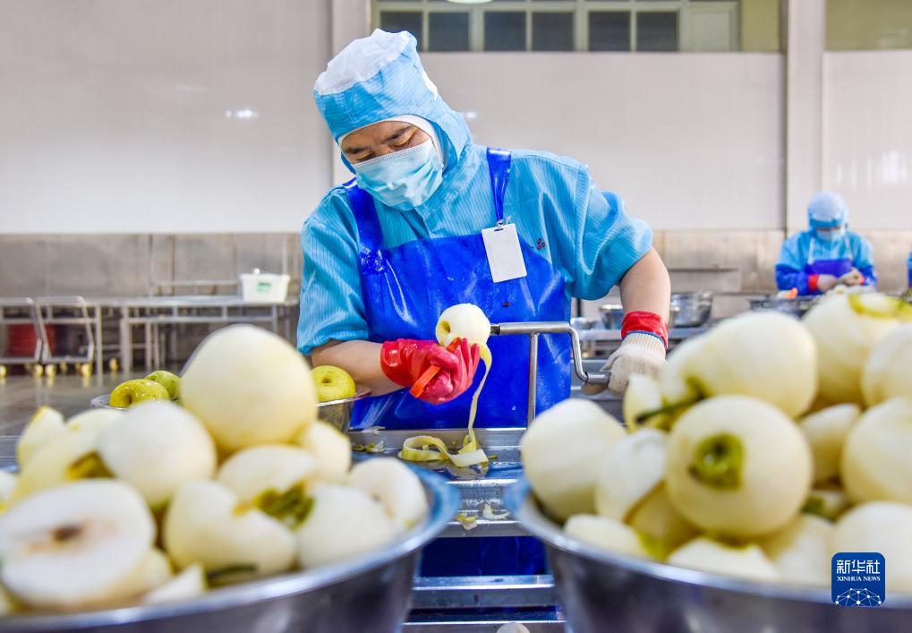 梨の関連製品を開発し、特色ある梨産業の発展を推進　安徽省碭山