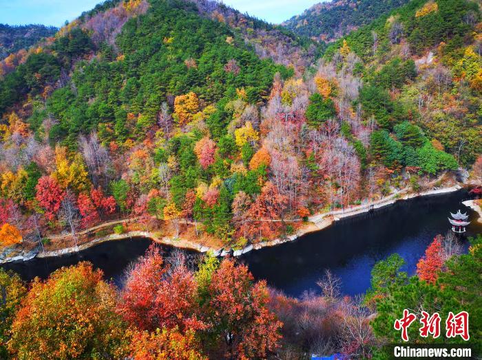 木蘭清凉寨で色づく初冬の紅葉　湖北省武漢