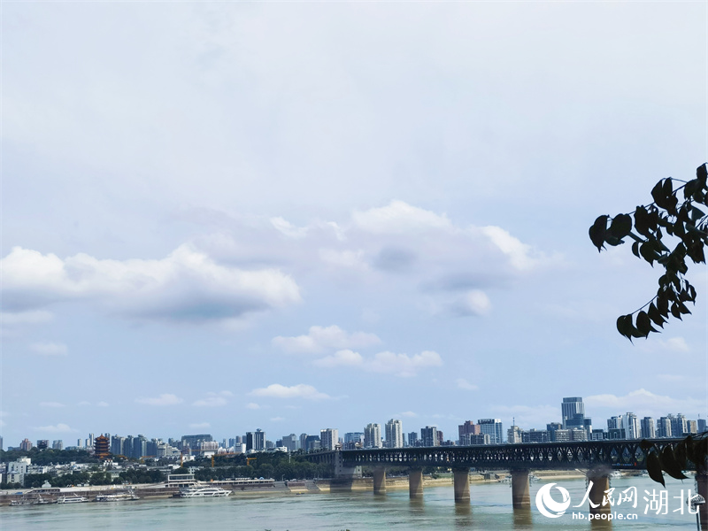 700本の橋が織りなす「江城」武漢の独特で美しい風景