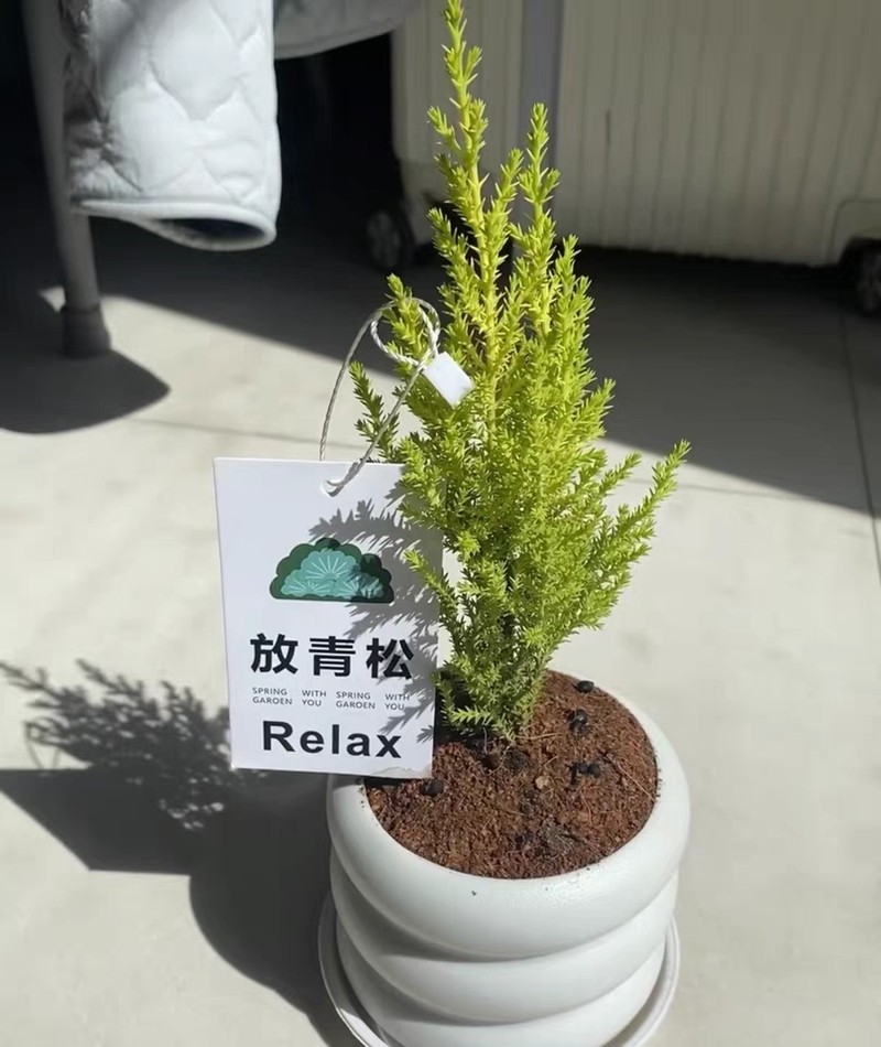 写真提供・新華社