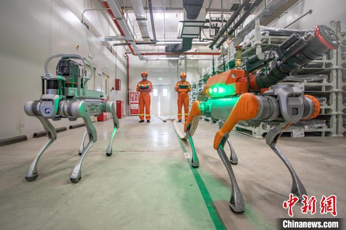 武漢新エネ消火救援訓練にロボット犬が登場　湖北省