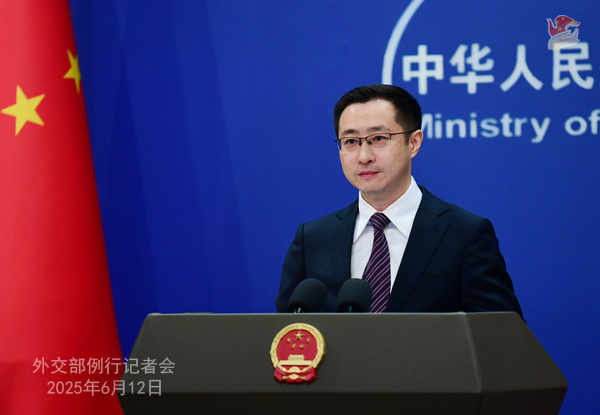 海外で人気を呼ぶ中国のアートトイ　外交部がコメント
