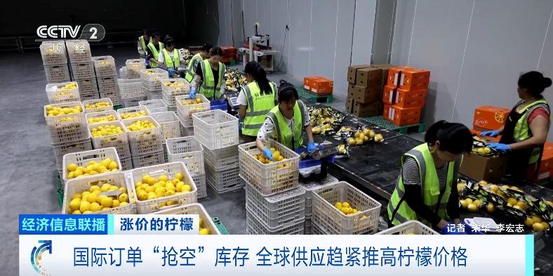 海外注文で在庫が手薄に　四川安岳レモンの輸出量が激増