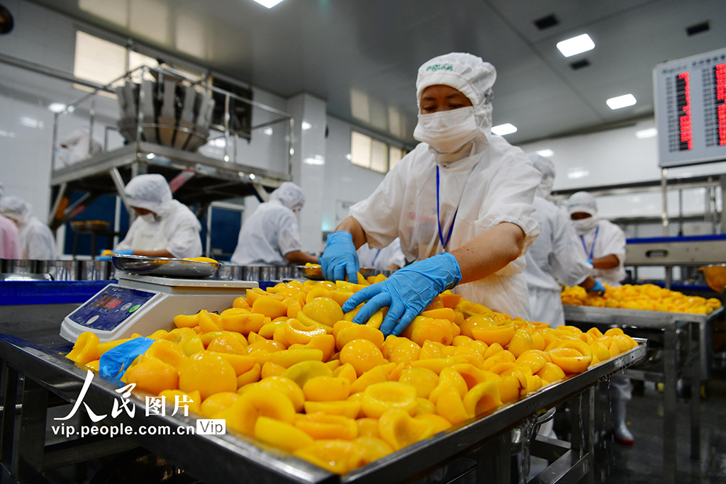 黄桃の加工品生産で農家の収入増を後押し　湖北省秭帰