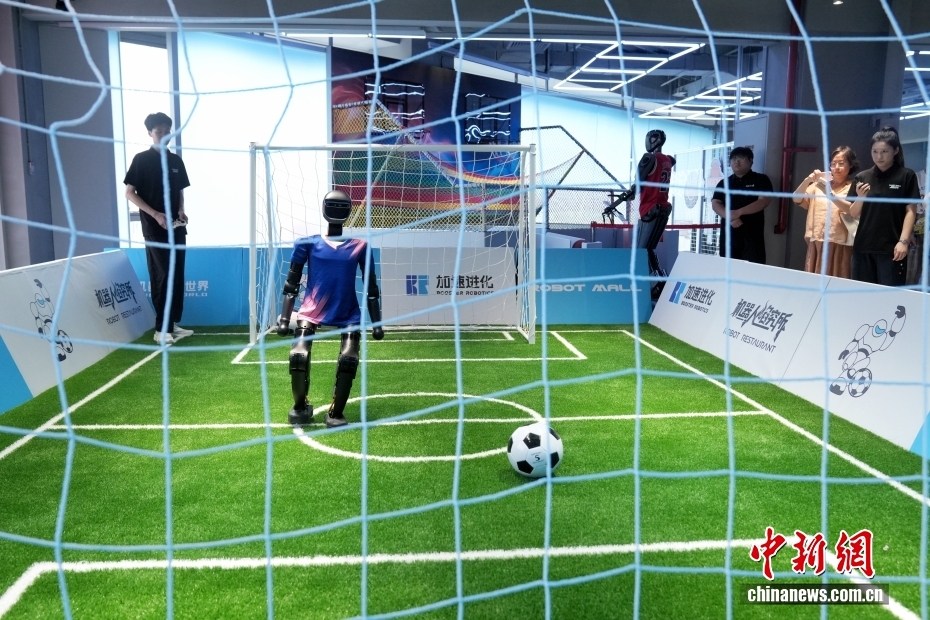 世界初の「エンボディドAIロボット」4S店を訪ねて　北京