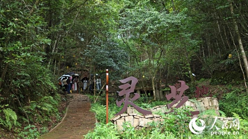 霊芝栽培拠点。（撮影・楊灝昱）
