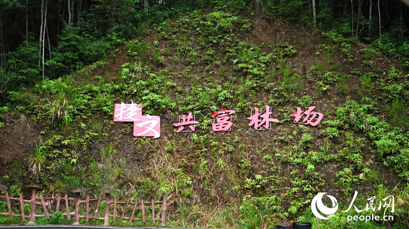 捷文共同富裕農場。（撮影・楊灝昱）