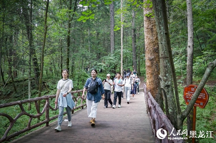 森林の中で大自然を堪能　黒竜江・上甘嶺渓水国家森林公園