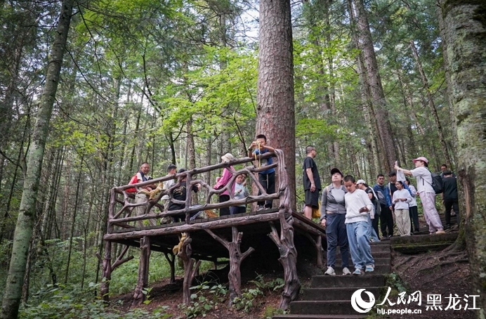 森林の中で大自然を堪能　黒竜江・上甘嶺渓水国家森林公園
