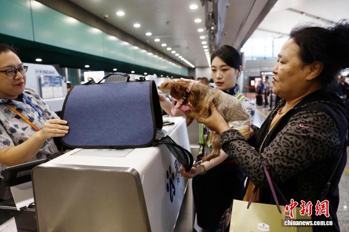 中国東方航空がペットと一緒に機内搭乗できるサービスを開始