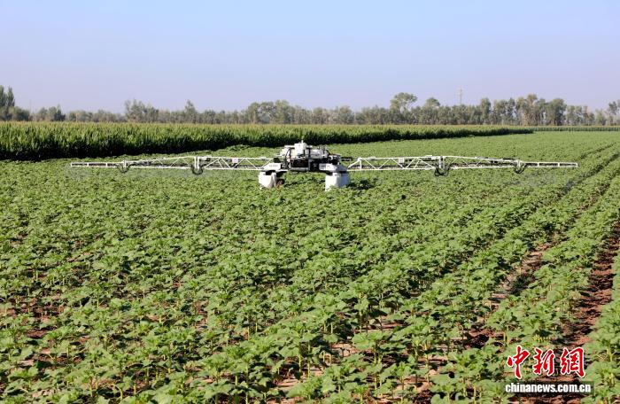 作業現場。撮影・陳健生