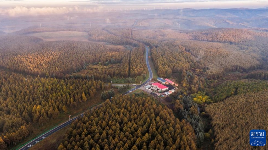 美しい秋の朝の景色広がる塞罕壩　河北省