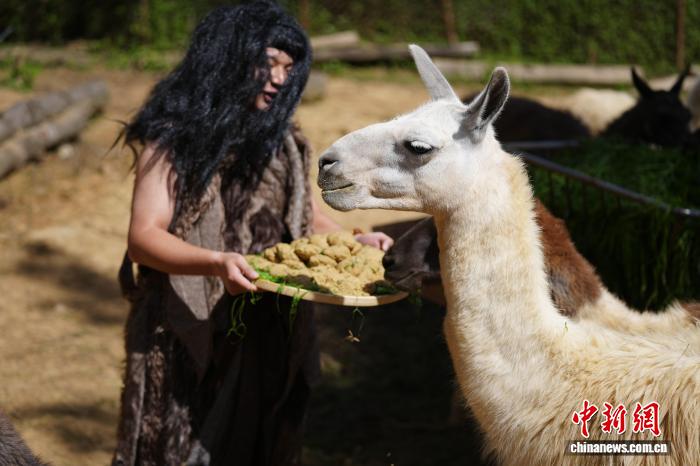 動物たちが味わう特製の「月餅」　雲南省昆明