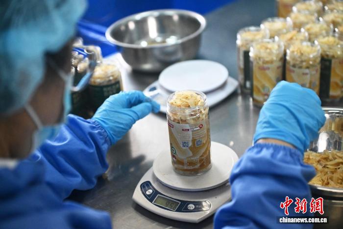 ユリ根の生産・販売ピーク到来　甘粛省