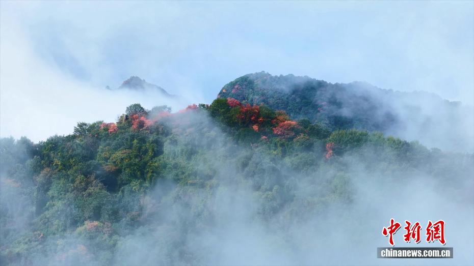 秦嶺・翠華山で紅葉と雲海の織りなす絶景　陝西省西安