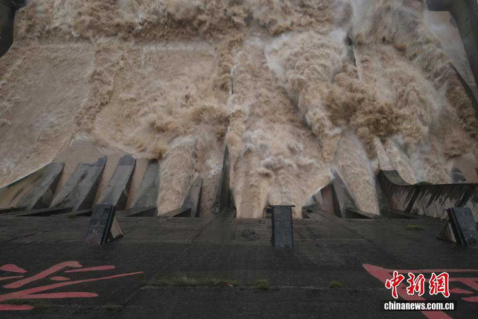 三門峡水利ターミナル、洪水防止「レベルⅣ」緊急対応を開始　河南省