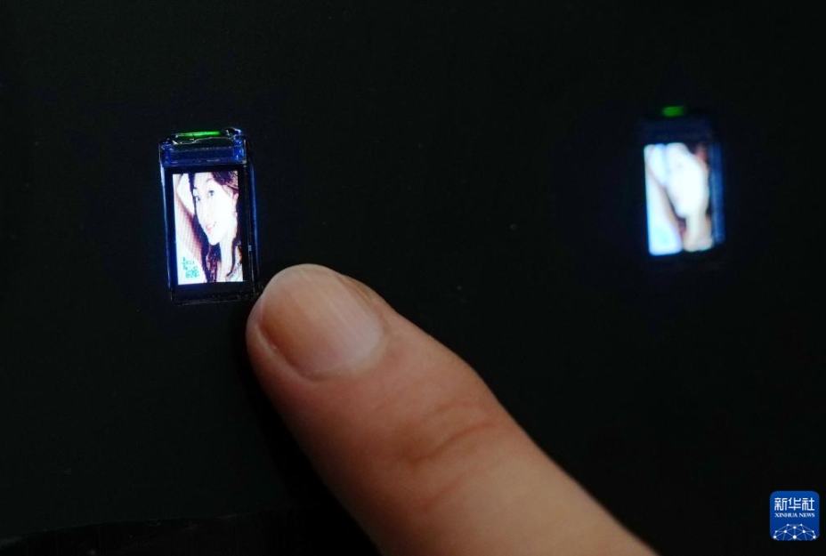 日本でデジタル技術の見本市「シーテック2025」が開幕