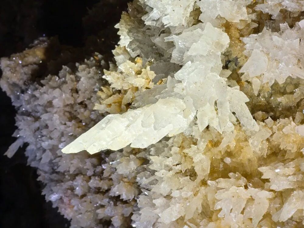 重慶で非常に珍しい鐘乳洞が発見！石膏の結晶群やパンダの骨を確認