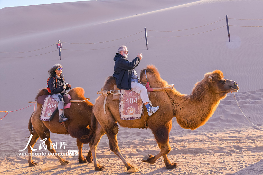 観光客を魅了する秋の砂漠　甘粛省敦煌