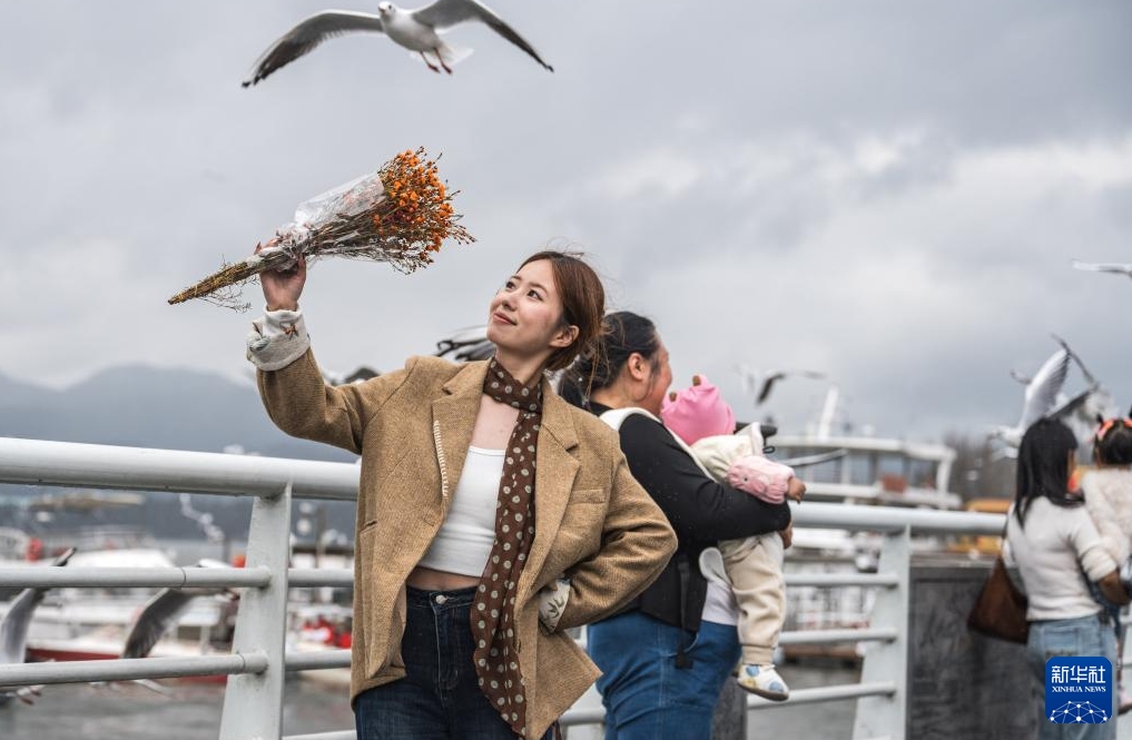 ユリカモメとの戯れを楽しめる冬の昆明　雲南省