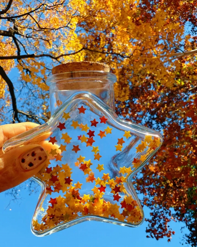 劉傲さんが作った「星の落ち葉ボトル」(画像は「Judy_ao」から)