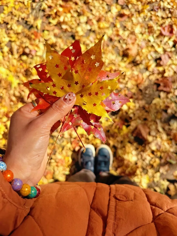 穴あけパンチで星の形の穴を開けた落ち葉(画像は「Judy_ao」から)