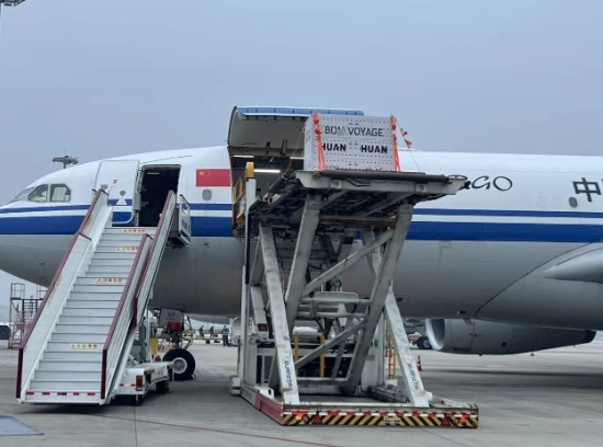 仏・ボーヴァル動物園のパンダ「歓歓」と「圓仔」が無事帰国