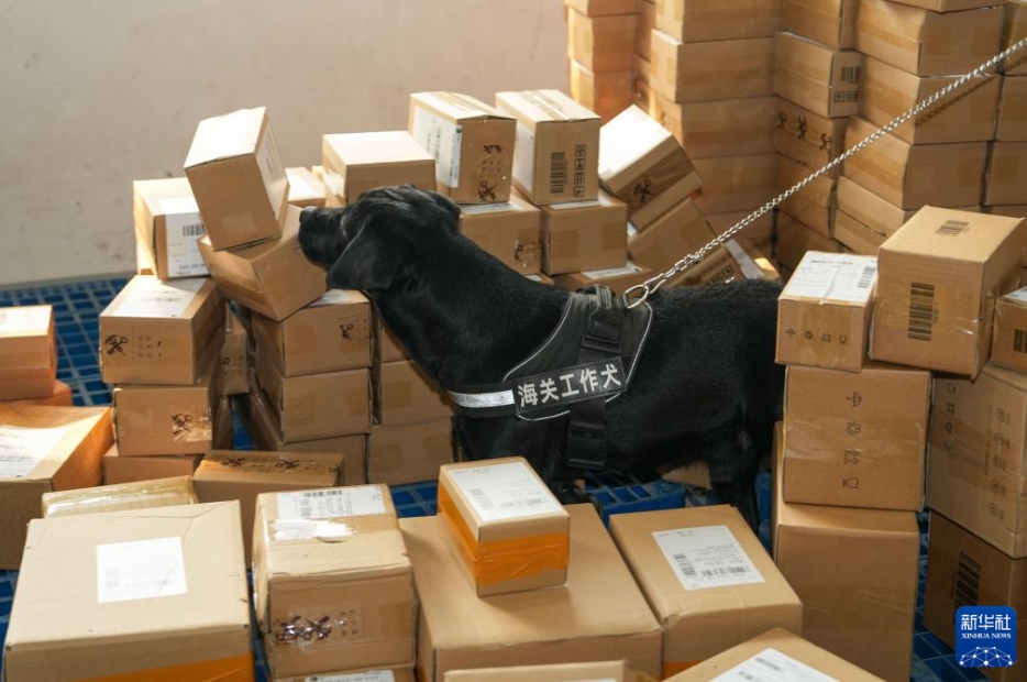 出入国する小包の通関効率アップで高い質の発展を後押し　湖南省長沙