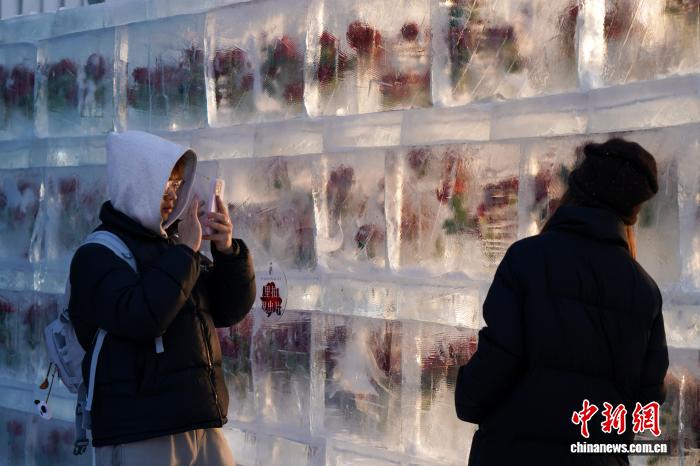 「氷漬けのバラ」の景観が期間限定で今年も登場　黒竜江省哈爾浜