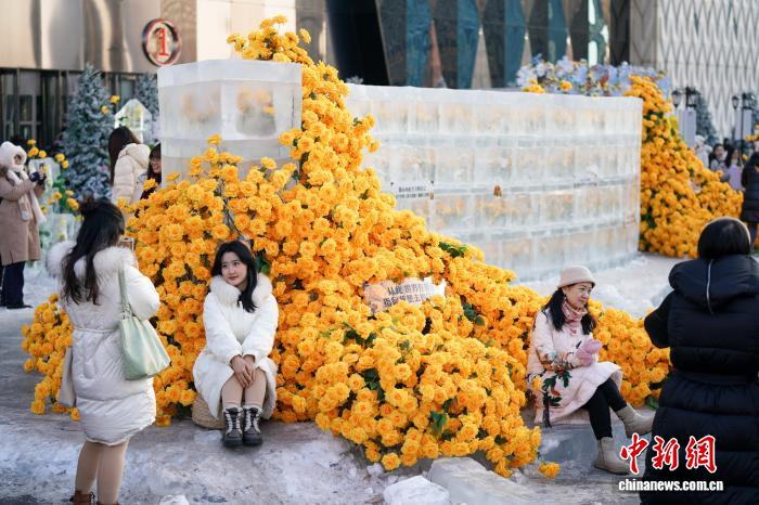 「氷漬けのバラ」の景観が期間限定で今年も登場　黒竜江省哈爾浜