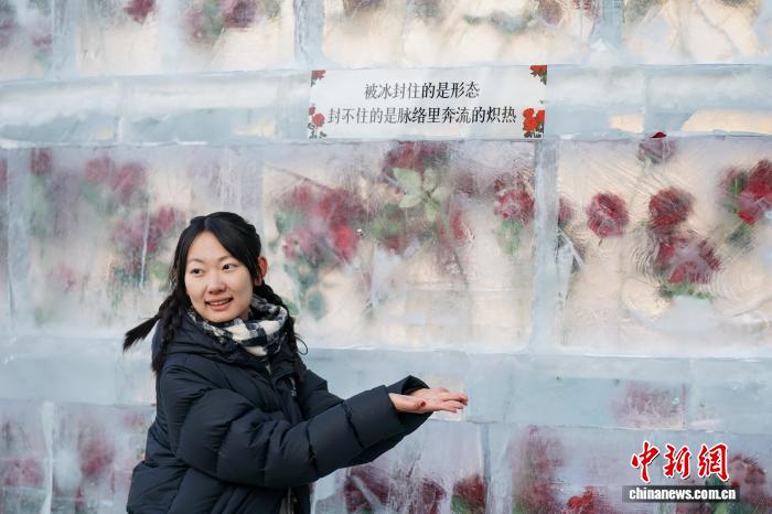 「氷漬けのバラ」の景観が期間限定で今年も登場　黒竜江省哈爾浜