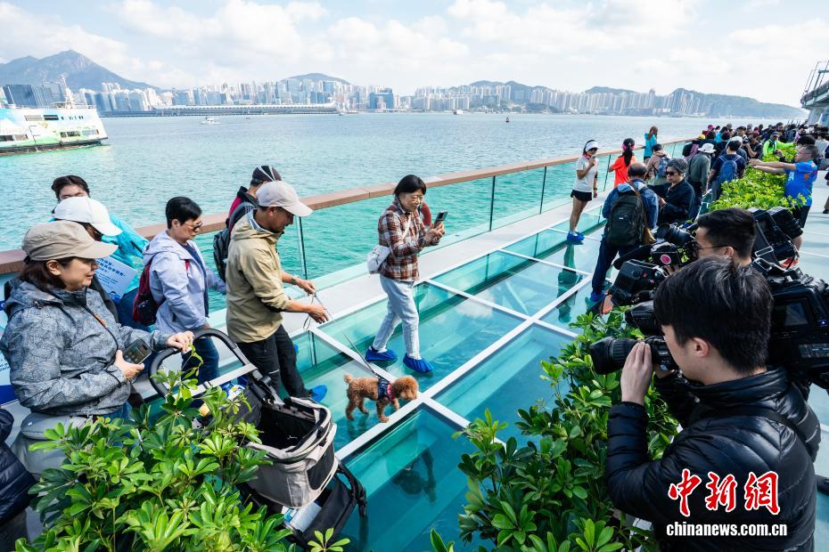 香港「東岸板道」が全面開放、香港島海浜遊歩道が完成