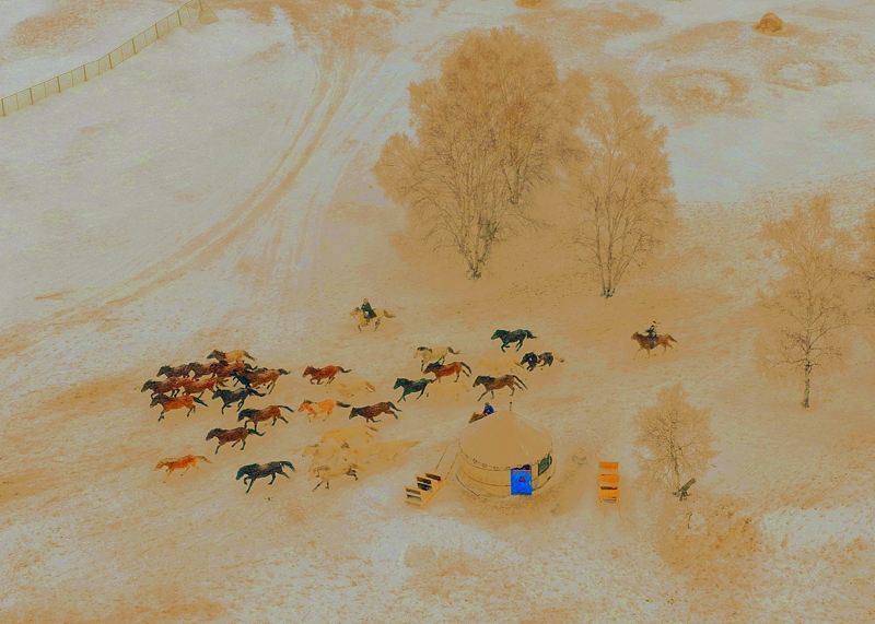 冬の烏蘭布統草原で馬が疾走する圧巻の光景　内蒙古