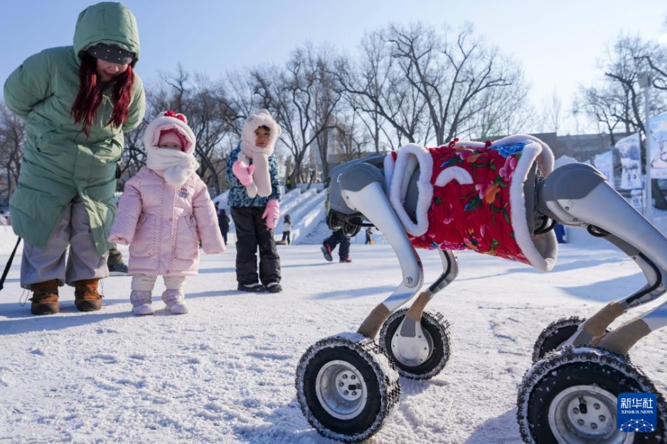松花江が雪と氷の楽園に　黒竜江省