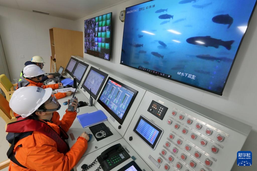 サーモンが10万トン級養殖工船へ「引っ越し」　山東省煙台