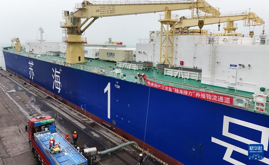 サーモンが10万トン級養殖工船へ「引っ越し」　山東省煙台