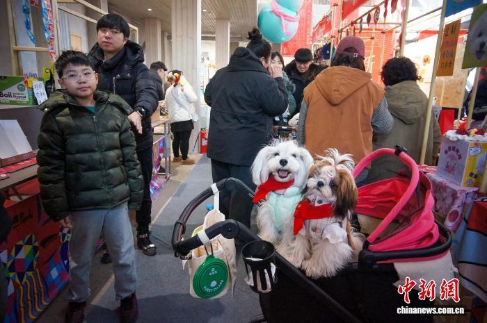 天津で年越しペット用品フェスティバル