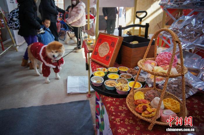 天津で年越しペット用品フェスティバル