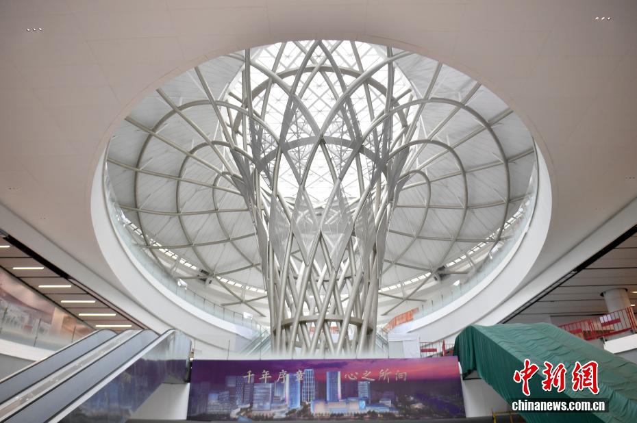 総合調整段階に入った京雄快速線　大興空港まで直行で30分に