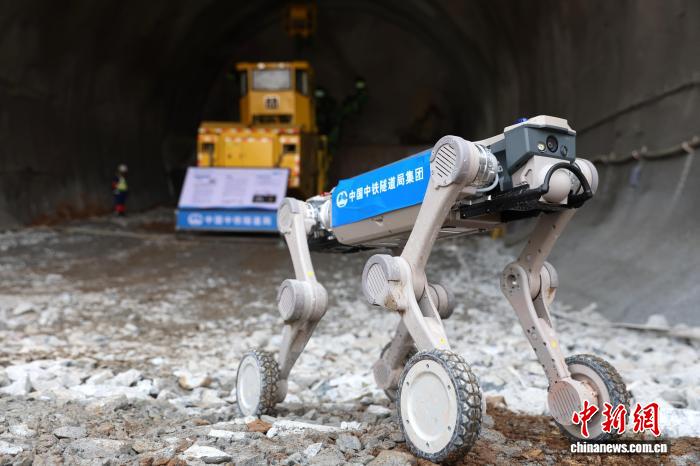 「ロボット犬」が長贛高速鉄道井岡山トンネルの施工巡回点検を支援　江西省