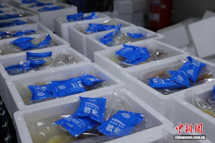 「チルドタニシ麺」が春節用品の売れ筋に？　広西・柳州