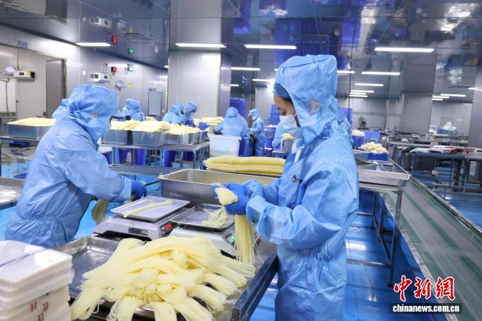 「チルドタニシ麺」が春節用品の売れ筋に？　広西・柳州