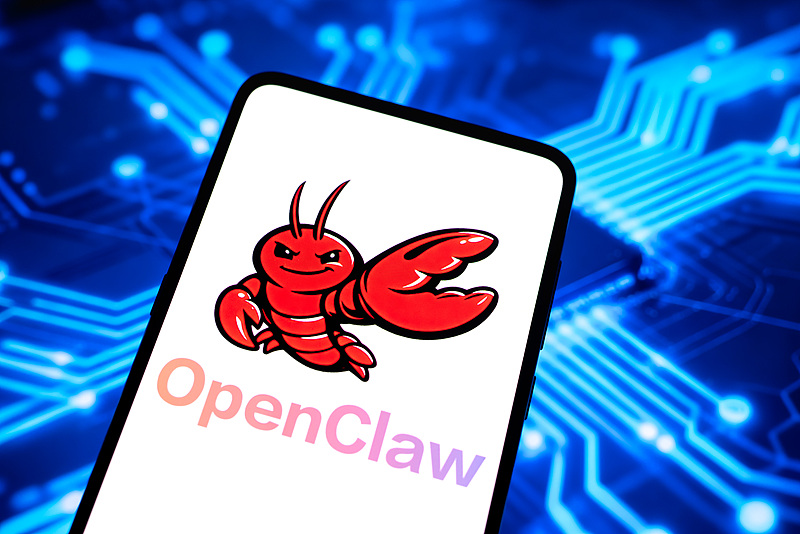 中国各地が企業の「ザリガニ飼育」をサポートする措置打ち出す