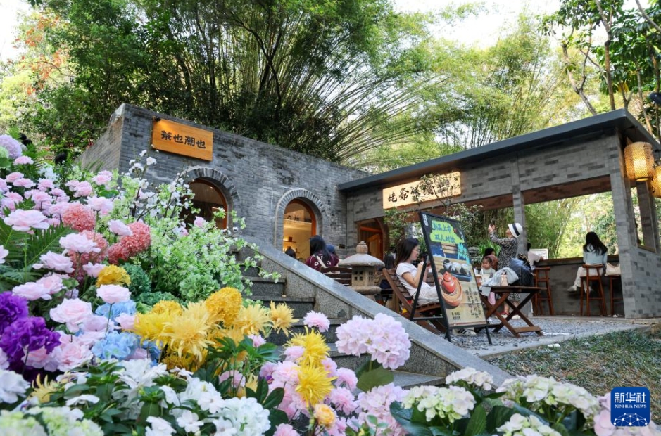 公園で町おこし、経済に新たな活力を放出する「公園＋」　広東省深セン