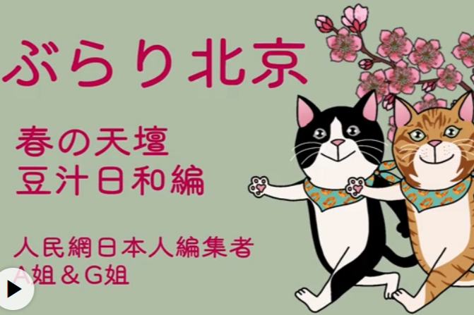 【ぶらり北京】春の天壇豆汁日和編