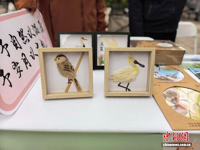 社会全体に愛鳥・鳥類保護を呼びかける第45回「愛鳥ウイーク」シリーズのイベントが4月11日、上海市黄浦区の復興公園で正式に始動(写真提供・上海市緑化・市容管理局)。
