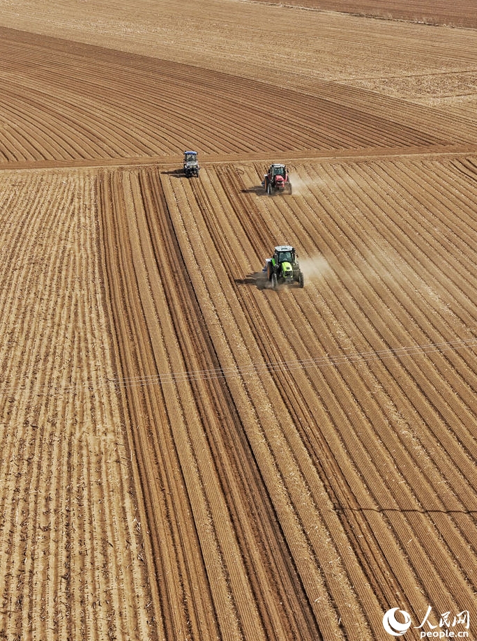 春の耕作のピーク迎え、活気あふれる広大な大地　吉林省