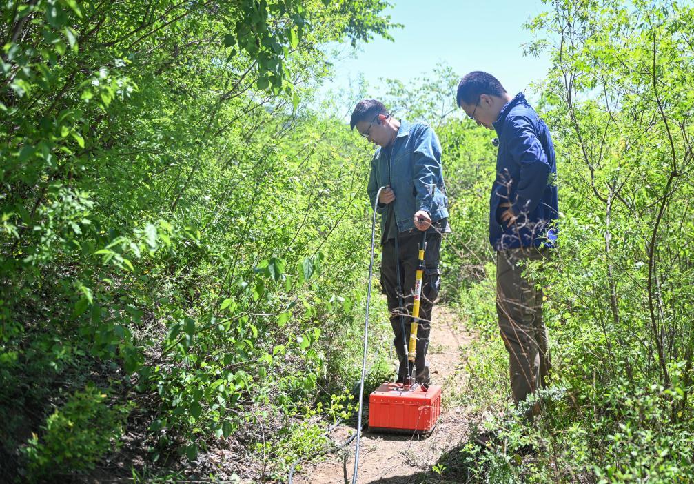 5月7日、地中レーダーを使用してデータ収集を行う考古学チーム。撮影・陳鐘昊。