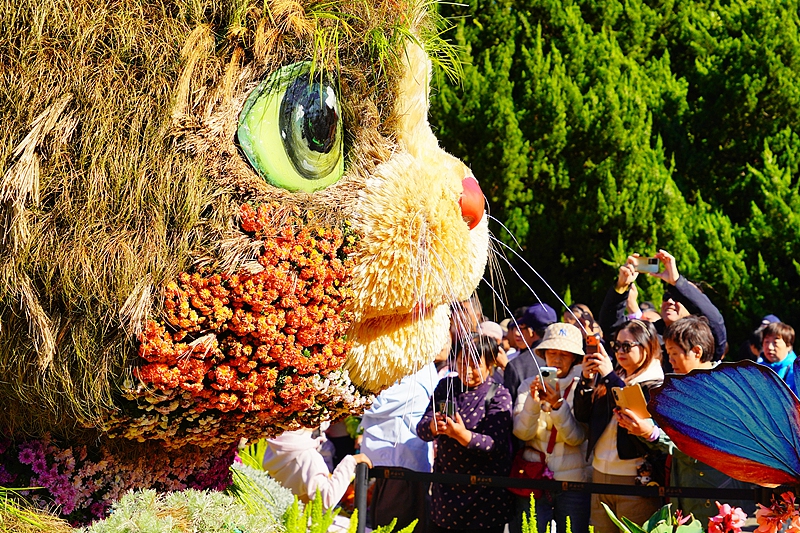 北京の北海公園で「菊の花展」開催　ネコの植物オブジェが大人気に