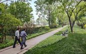 天津の廃棄路線が「緑の道」の公園に変身